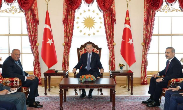 Turkish President Recep Tayyip Erdogan welcomes Egypt's Foreign Minister Sameh Shoukry in Istanbul - Egypt's MFA
