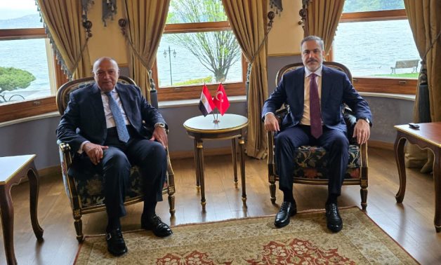 Egypt, Turkish FMs discuss bilateral ties, regional issues