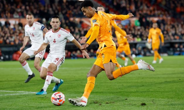Netherlands' Cody Gakpo in action with Gibraltar's Jack Sergeant REUTERS/Piroschka Van De Wouw/File Photo