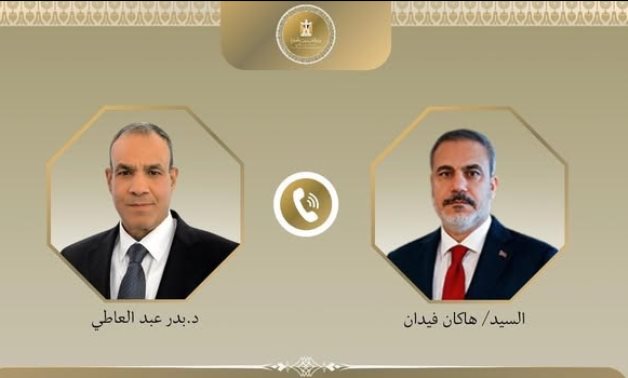 Egyptian and Turkish FMs carried out a phone call 