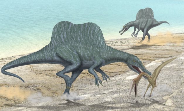 Dinasours - CC 