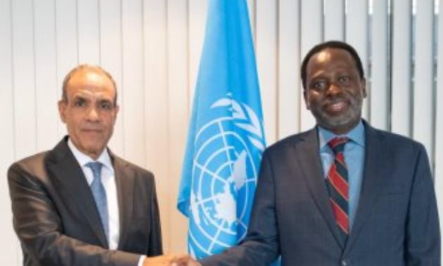 Egyptian FM Badr Abdelatty (L) discusses strengthening cooperation in AI with UN Under-Secretary-General  Dr. Chilidzi Marwala (R)