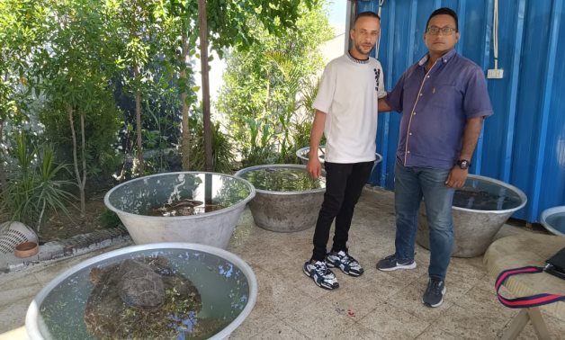 Egyptian citizen successfully rescued six endangered loggerhead sea turtles (Caretta caretta)