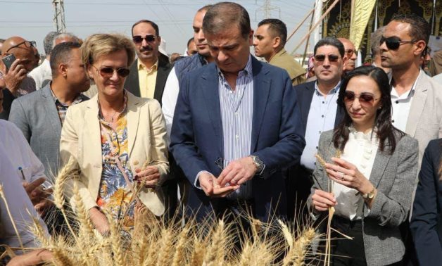 Minister of Agriculture Alaa Farouk inspects the quality of wheat crop- press photo