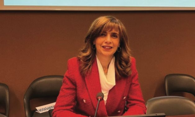 Egyptian Ambassador Nada Draz 