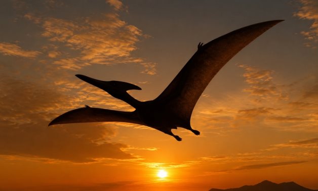 Illustrative image: An artistic rendering of a pterosaur soaring through the skies. The image is intended for visualisation purposes only and does not depict the fossil discovered in Egypt.