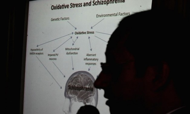 Brazilian neuroscientist Stevens Rehen, National Stem Cell Laboratory (LaNCE/UFRJ) coordinator, presents the latest results of their research on the treatment of schizophrenia. /AFP Photo