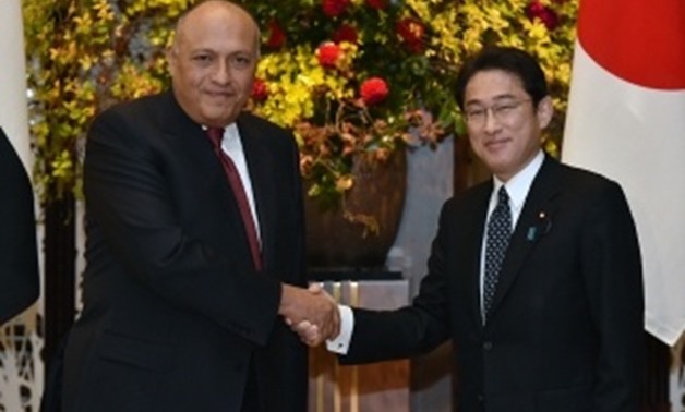  Egyptian Foreign Minister Sameh Shoukry (L) and Japanese ex-Foreign Minister Fumio Kishida on November 26, 2015- Press Photo