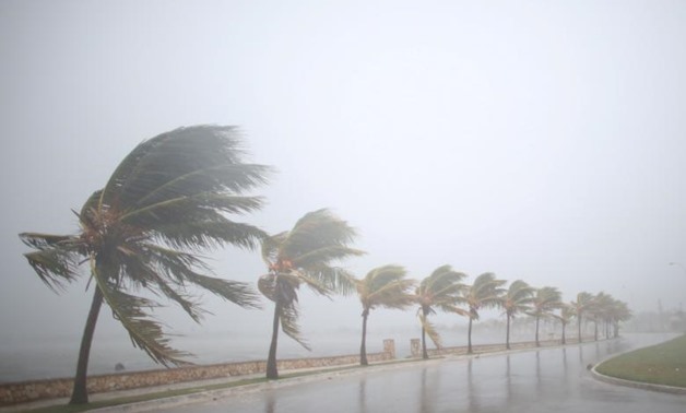 Palm trees sway in the wind prior to the arrival of the Hurricane Irma in Caibarien, Cuba. REUTERS