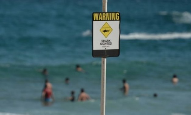 The suspected shark attack on a man named in local media at Abe McGrath while surfing at Iluka in New South Wales early Sunday follows 10 encounters off the nation's vast coastline this year