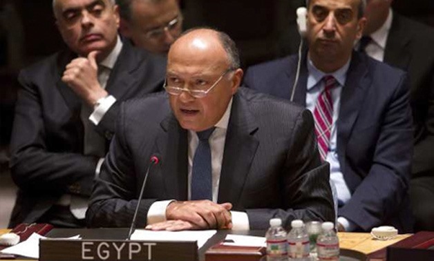 Egypt's Foreign Minster Sameh Shoukry at the UN Security Council - Reuters