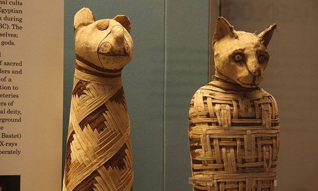 Ancient Egyptian Animal Mummies at the British musuem via Wikimedia