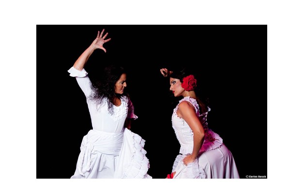 Official Ballet Flamenco de Madrid Facebook Page