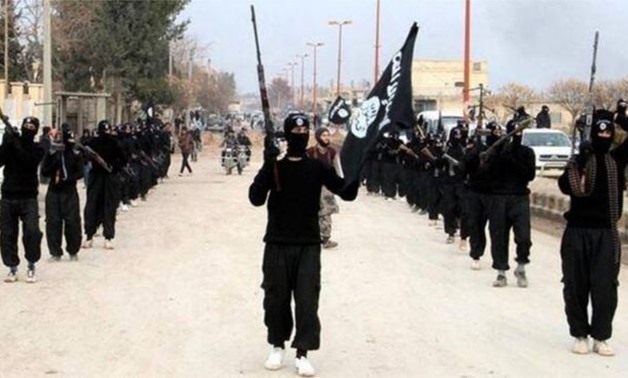 Islamic State militant - File Photo