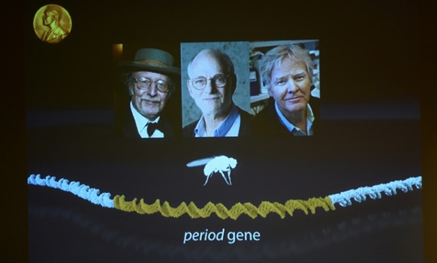  Winners of the 2017 Nobel Prize in Physiology or Medicine (L-R) Jeffrey C Hall, Michael Rosbash and Michael W Young are pictured on a display during a press conference