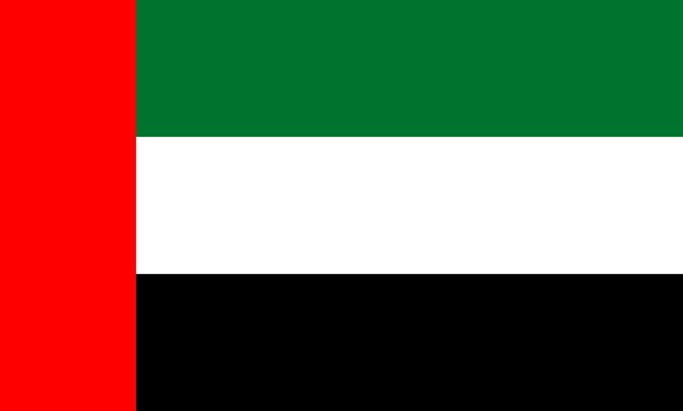 Flag of the United Arab Emirates - Reuters