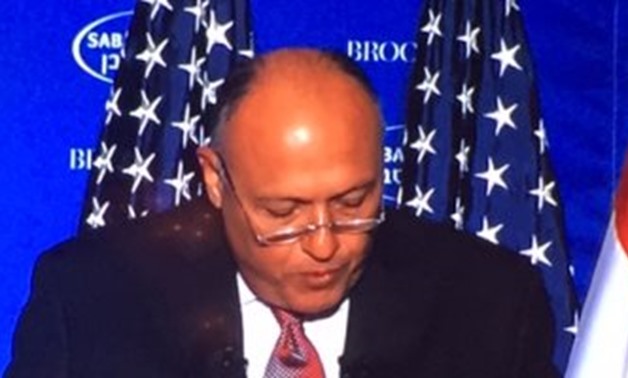 FILE: The Egyptian Foreign Affairs Minister Sameh Shoukry 
