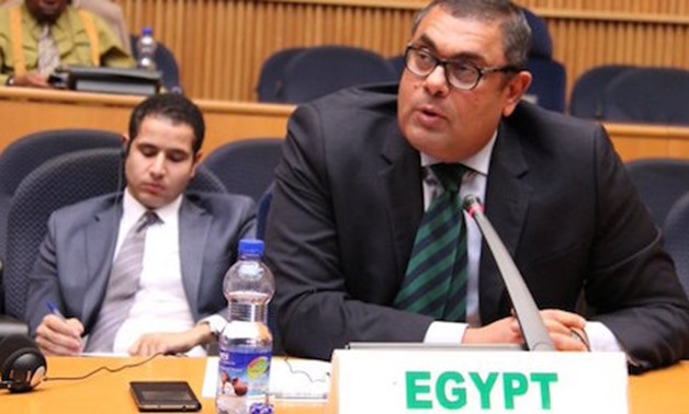 Egyptian Ambassador to Ethiopia Abu Bakr Hanafy - Press Photo