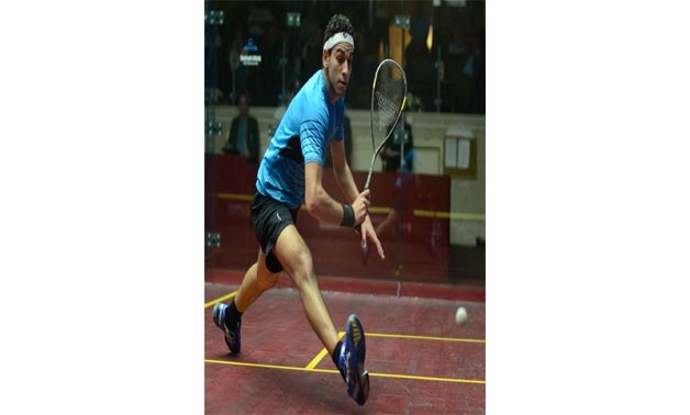 Mohamed El Shorbagy - Squash Official website