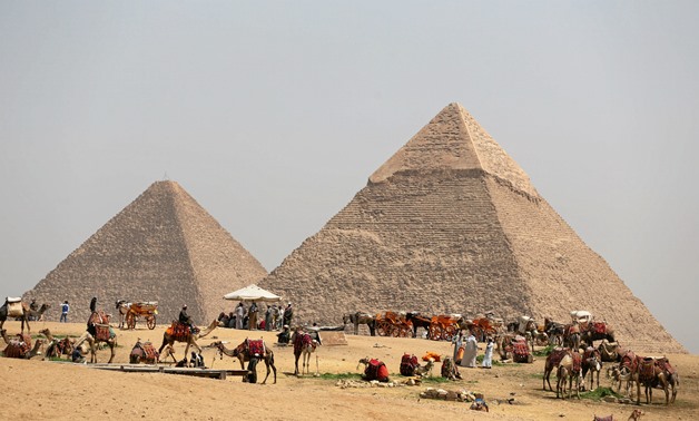 A group of camels and horses stand idle in front of the Great Pyramids awaiting tourists in Giza, Egypt - REUTERS/Mohamed Abd El Ghany