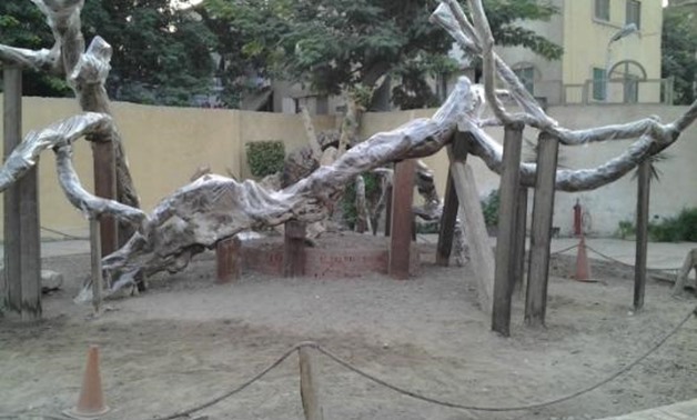 Virgin’s Tree in Matariya, Northern Cairo – Trip Advisor
