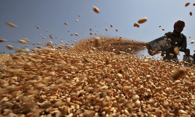 Wheat- Reuters