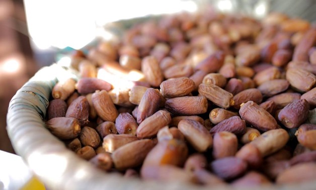 Egypt has a large production of dates - Egyptian Date Palm Festival's Facebook page