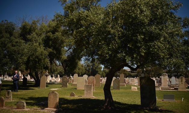 This photo taken on September 27, 2017 shows olive trees growing amongst the graves in Adelaide's West Terrace Cemetery. — AFP pic