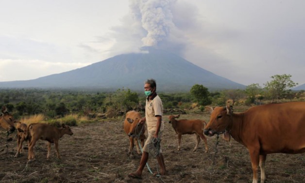 A farmer walks with his cattle as Mount Agung volcano erupts in the background in Karangasem, Bali, Indonesia November 28, 2017 - REUTERS/Johannes P. Christo