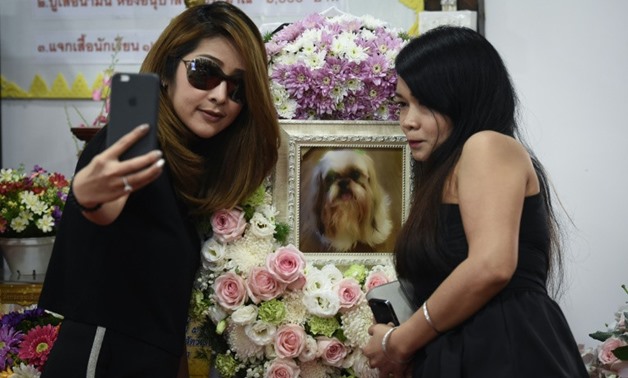 Pet cremations, complete with Buddhist rituals, are popping up across Bangkok for dogs, cats and even monkeys