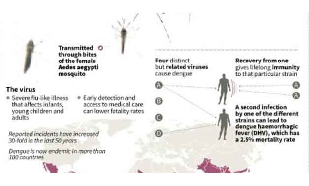 Factfile on dengue fever - AFP 