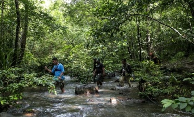 © AFP / by Karl MALAKUNAS | Efren "Tata" Balladares and his men track illegal loggers through the forests of Palawan and confiscate their chainsaws