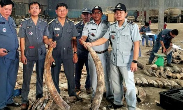 © AFP | Cambodian authorities display pieces of smuggled ivory