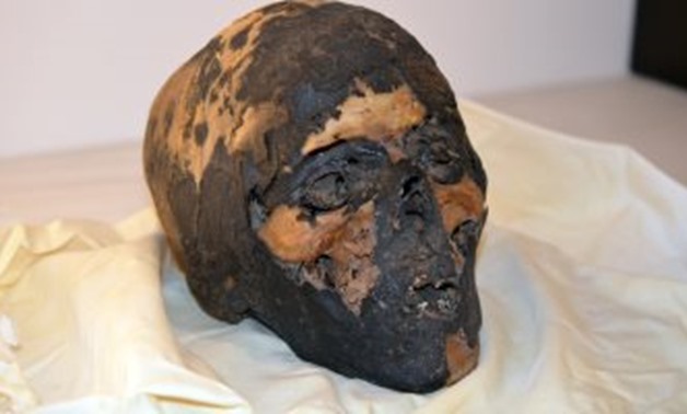 The Skull – Photo Courtesy of Repatriation Department/Ministry of Antiquities official Facebook page 