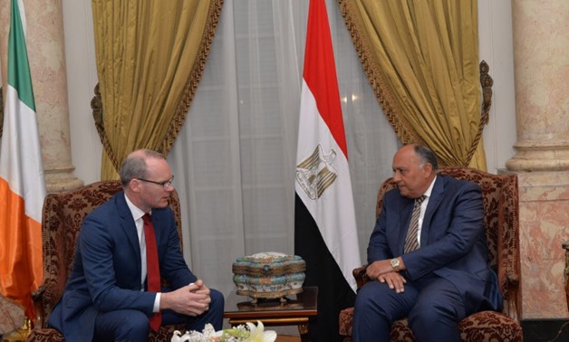 Irish FM Simon Coveney along with his Egyptian counterpart Sameh Shoukry in Cairo January 8, 2018 - Twitter  