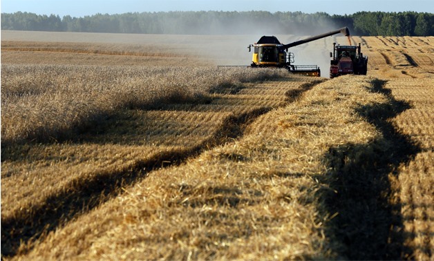 A combine harvests wheat in a field of the Solgonskoye farming company near the village of Talniki, southwest of the Siberian city of Krasnoyarsk, Russia, August 28, 2016