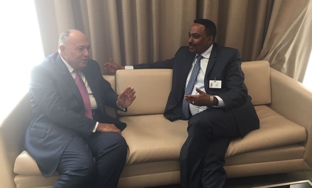 FM Shoukry with his Ethiopian counterpart – press photo