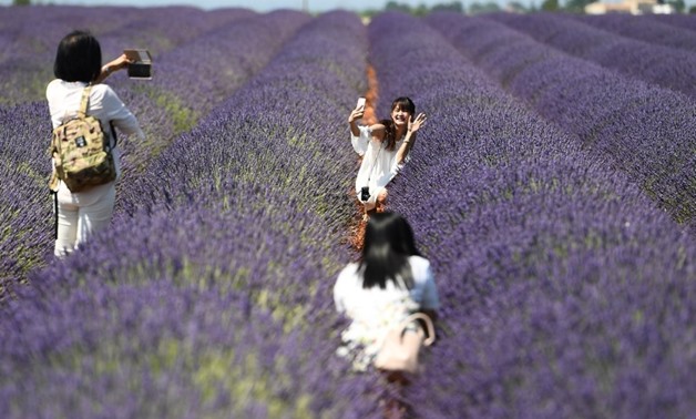 Chinese tourists make selfies in a lavender field in Valensole, southern France, in June 2017. PHOTO: BORIS HORVAT / AFP