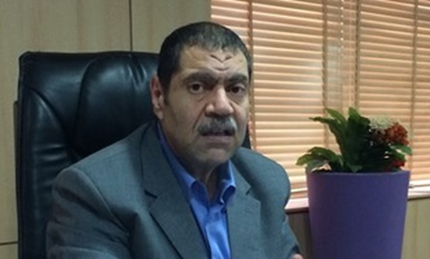 FILE- Chief executive of Tourism Development Authority, Serag el-Din Saad