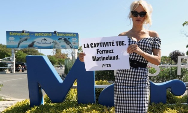 US actress Pamela Anderson chose the Marineland complex in southern France for a protest last August against keeping dolphins and killer whales captive. Her placard reads: 'Captivity kills, shut down Marineland'
- AFP