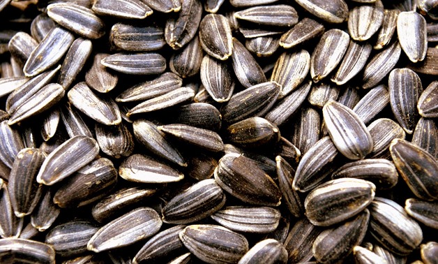 Sunflower seeds are a good source of vitamin B5. Via CC/Public Domain Pictures.
