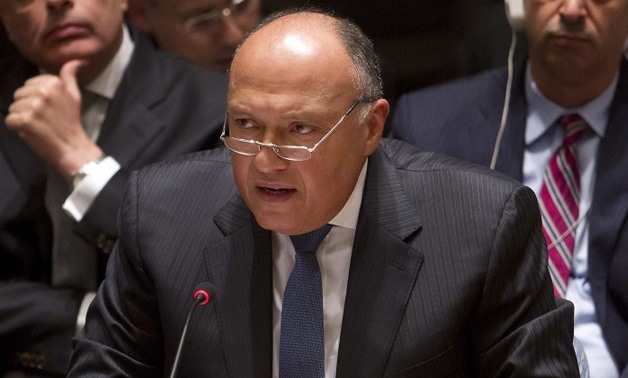Foreign Minister of Egypt Sameh Shoukry - YOUM7 (Archive)