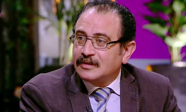 Political science professor and expert Tarek Fahmy
