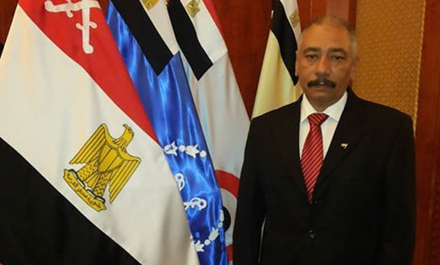General Coordinator of Sisi's campaign in the UAE, Majdi Al-Alfy - press photo