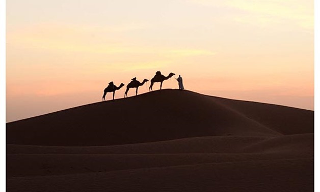 A man walks on a sand dune with his camels in Mhamid el-Ghizlane, in the Moroccan southern Sahara desert. Fadel Senna / AFP/Getty Images
