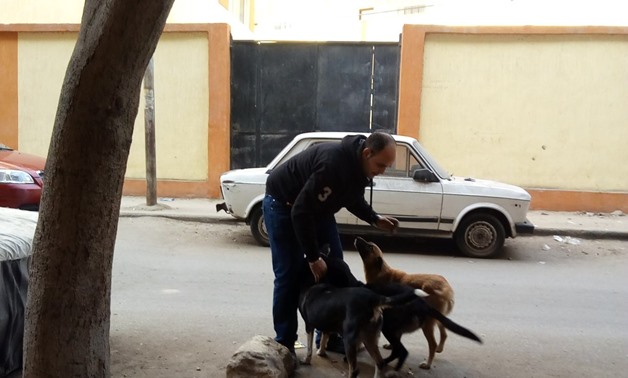 An Egyptian playing with stray dogs – Egypt Today/Hend Safwat 