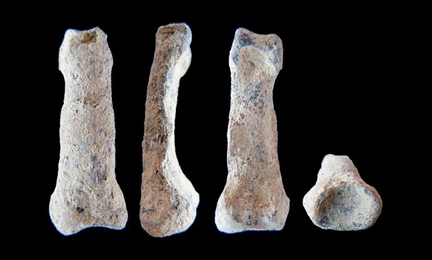 The single fossil finger bone of Homo sapiens - pictured from various angles - from the Al Wusta site, Saudi Arabia is pictured in this undated handout composite photo obtained by Reuters April 9, 2018. Ian Cartwright/Handout via REUTERS ATTENTION EDITORS