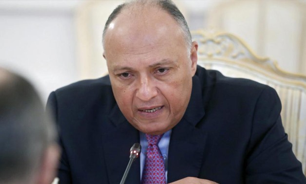 Foreign Minister Sameh Shoukry – Sergei Chirikov/EPA