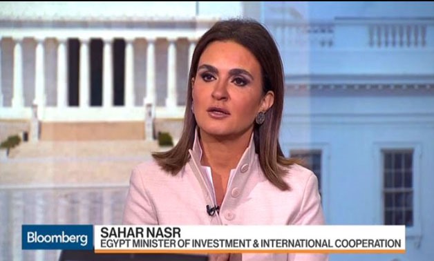 Screenshot of Investment minister Sahar Nasr during her interview with Bloomberg