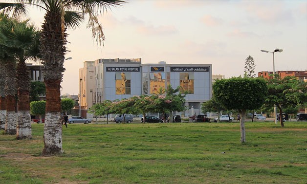 The city of Borg El-Arab in Alexandria - Wikimedia Commons 